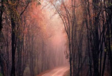 开云下载-阿尔希拉尔前锋线组合默契提升，世俱杯争冠利器