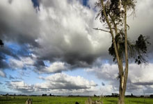 开云体育官方网站-土耳其憾负挪威,积分压力增大