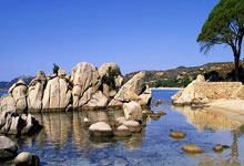 开云体育官网-蓝白风暴席卷异域！法国队海外征战的闪耀哲学