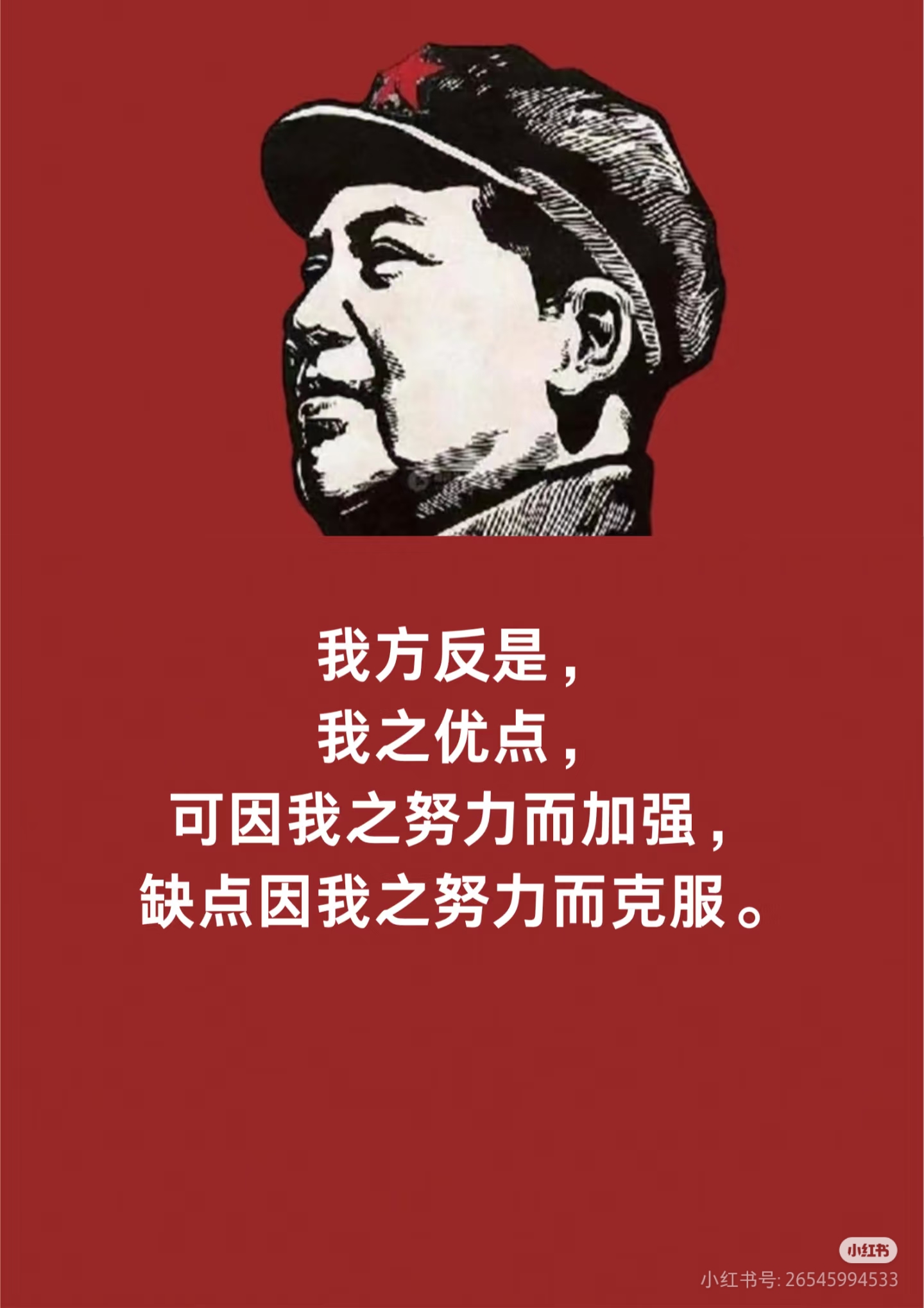 谢菲联努力奋斗,打成关键平局保持不败 谢菲联努力奋斗,打成关键平局保持不败