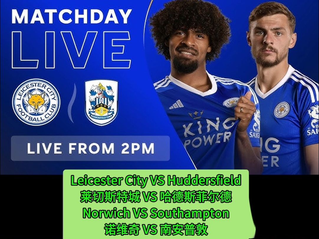 开云体育入口-南安普顿客场不敌莱切斯特城,遭遇惨败