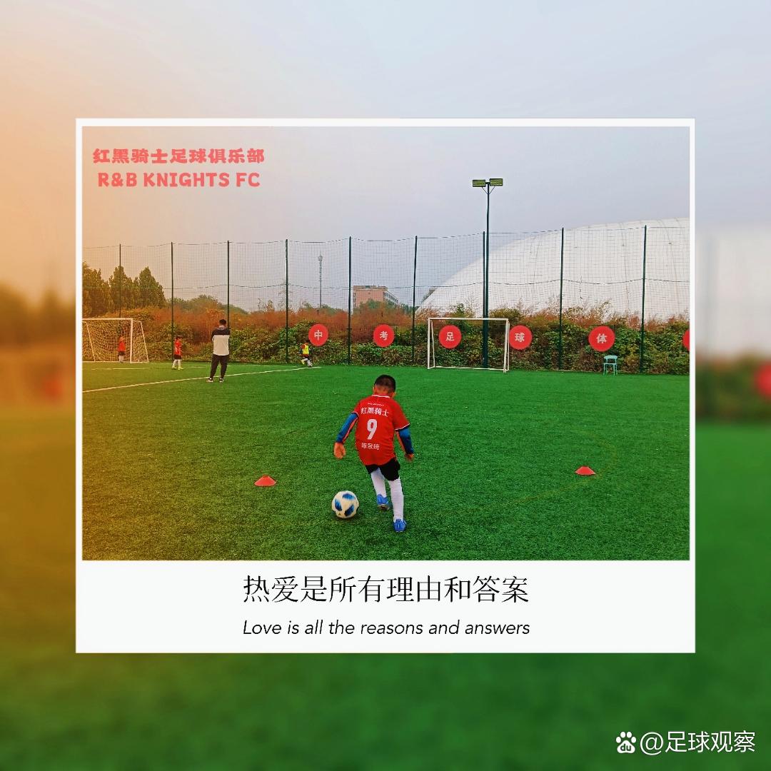 关于温馨故事渐成足球象征，体育团队显团结之美的信息