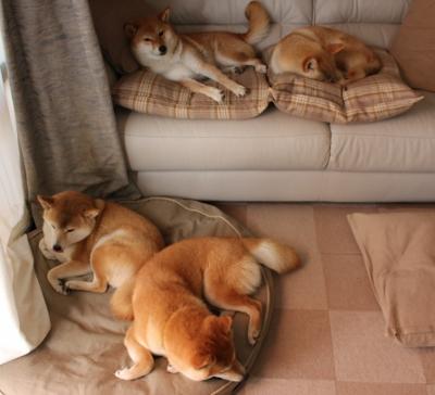 开云体育中国-步行者防线前的艺术,拉文如何将制造杀伤演绎为进攻美学